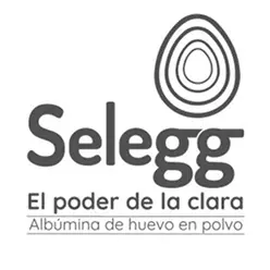 logo selegg